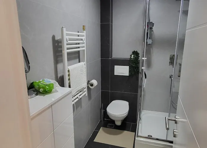 Apartment Karolina Banja Koviljača